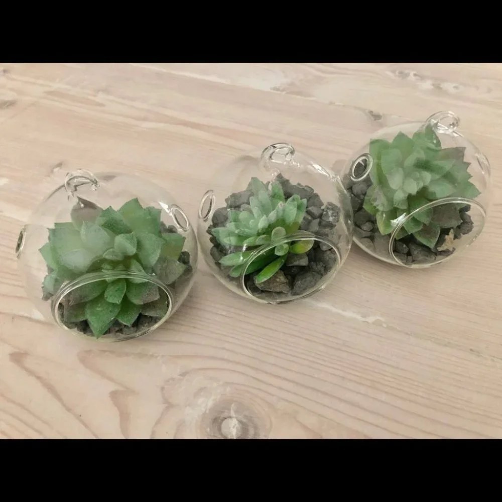 Set of 3 succulent terrariums - Picture 11 of 16